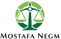 Lawyer Mostafa Negm